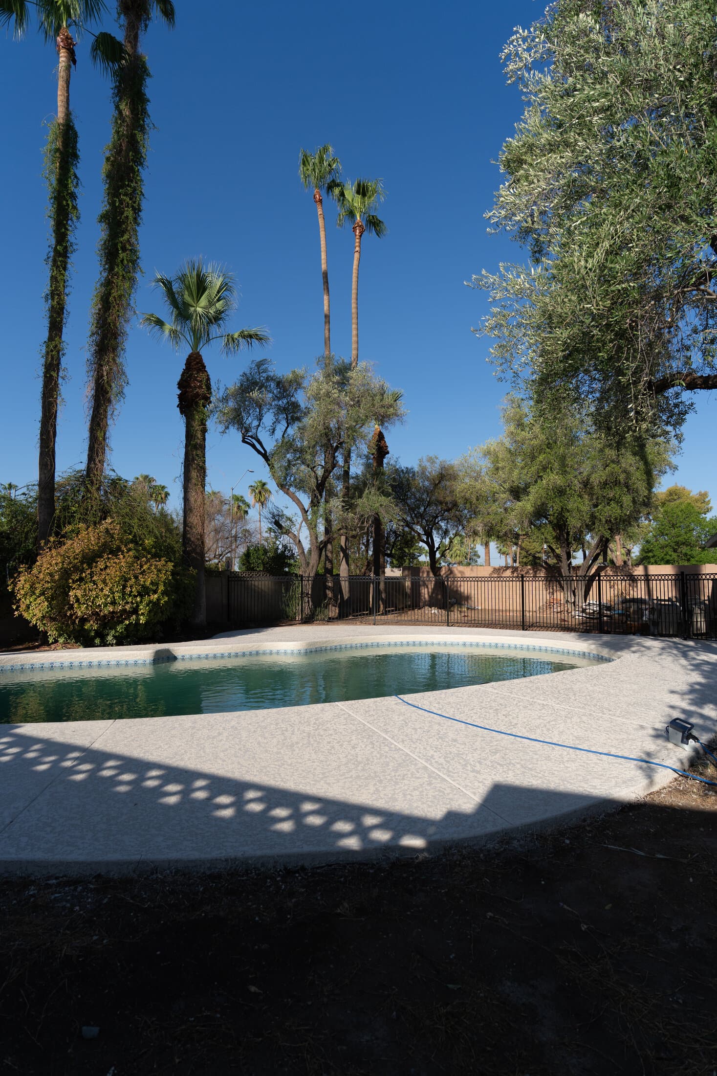 Cool deck resurfaced pool patio with palm trees in Greater Phoenix backyard
